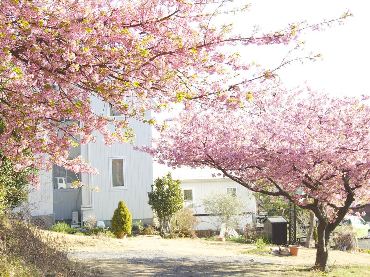 Country Inn Galley 伊東市 エクステリア 写真